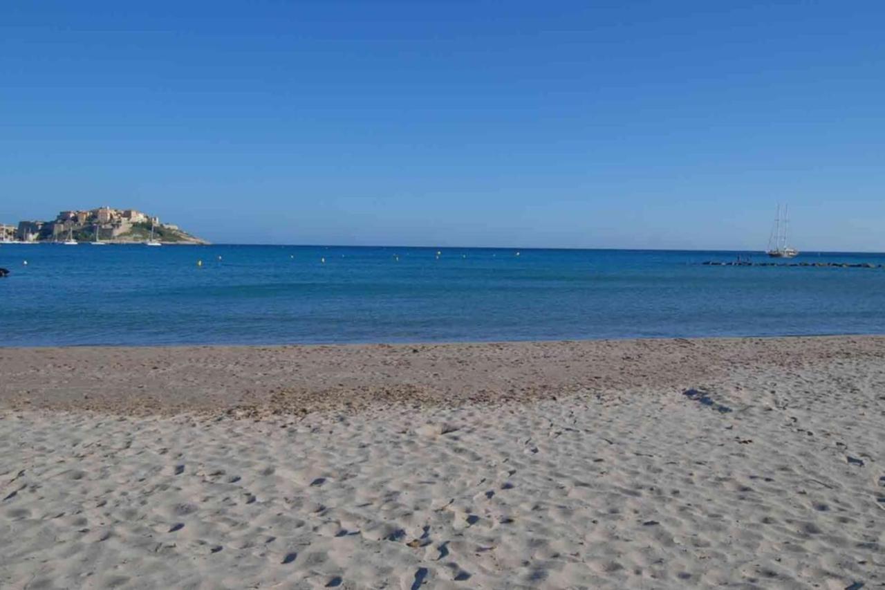 Location De Vacances Olivier Jardin Privatif Et Piscine Chauffee Partagee Calvi  Kültér fotó